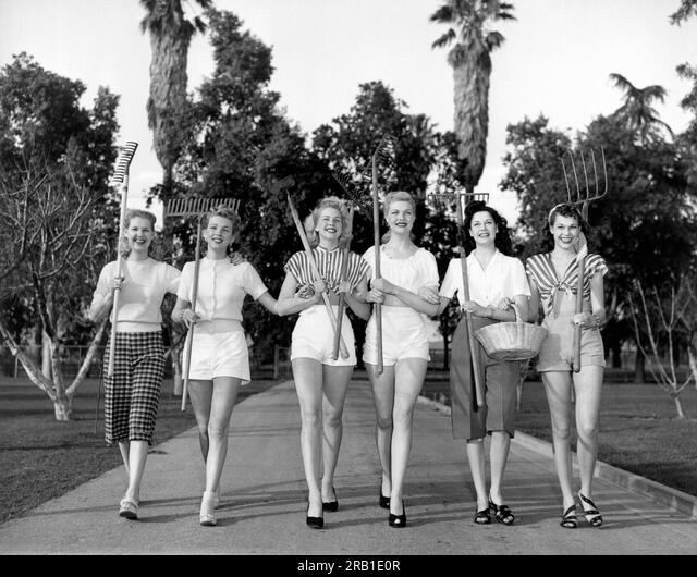 Seymour products, 1950